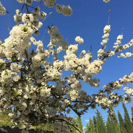 Fattoria Didattica Gli Allori Prázdninový dům *