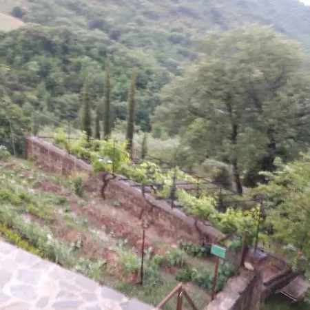 Fattoria Didattica Gli Allori *