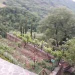 Fattoria Didattica Gli Allori *