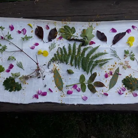 Fattoria Didattica Gli Allori Сasa de vacaciones Perugia