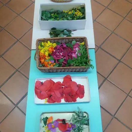 Fattoria Didattica Gli Allori Holiday home