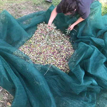 Сasa de vacaciones Fattoria Didattica Gli Allori Perugia