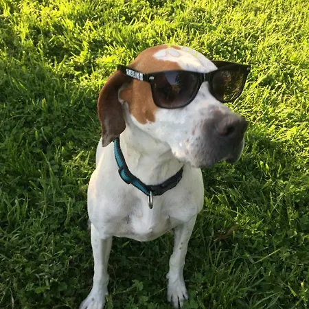 Fattoria Didattica Gli Allori *