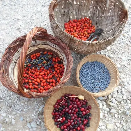 Fattoria Didattica Gli Allori *