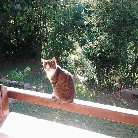 Сasa de vacaciones Fattoria Didattica Gli Allori *