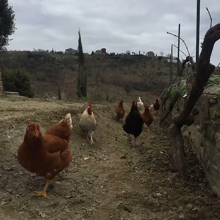 Сasa de vacaciones Fattoria Didattica Gli Allori