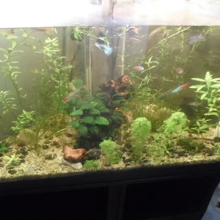 Fattoria Didattica Gli Allori *