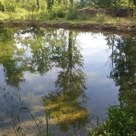 Fattoria Didattica Gli Allori *