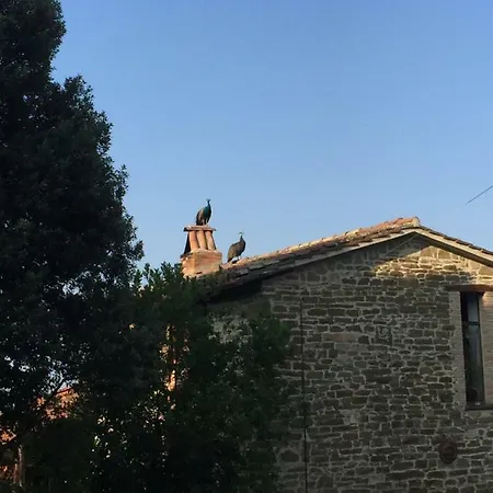 Сasa de vacaciones Fattoria Didattica Gli Allori